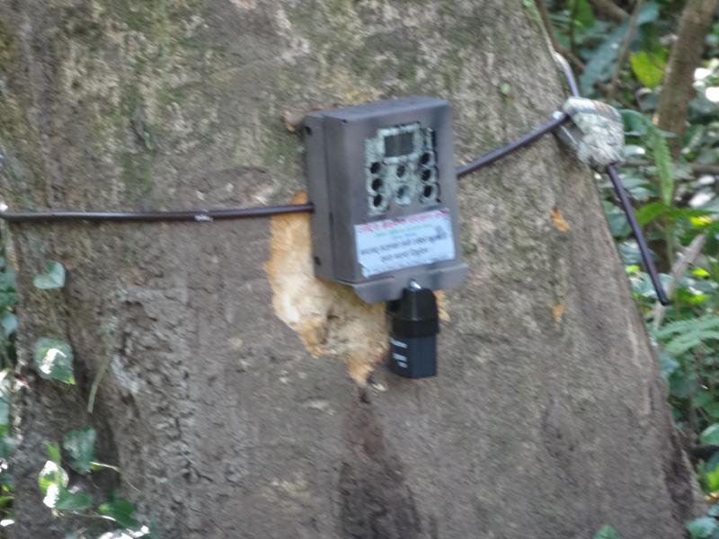 Fieldwork in Chitwan, Nepal