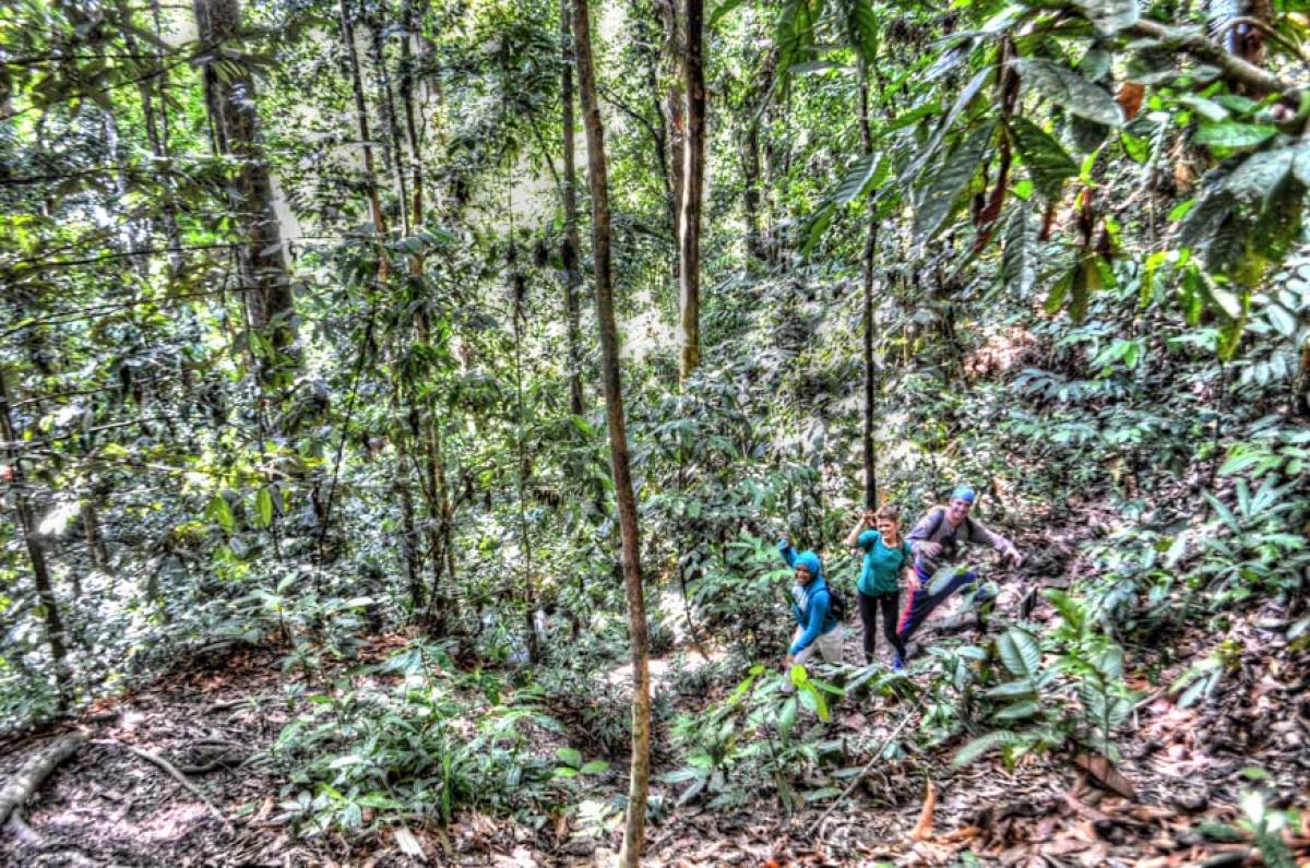 Belum Rainforest Resort, Malaysia