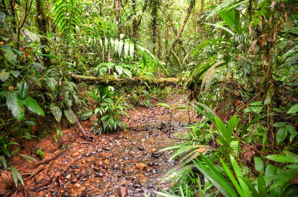 San Cipriano Village, Colombia