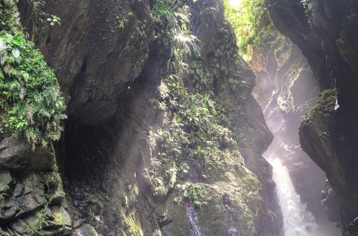 Cali and El Danube Rio, Colombia